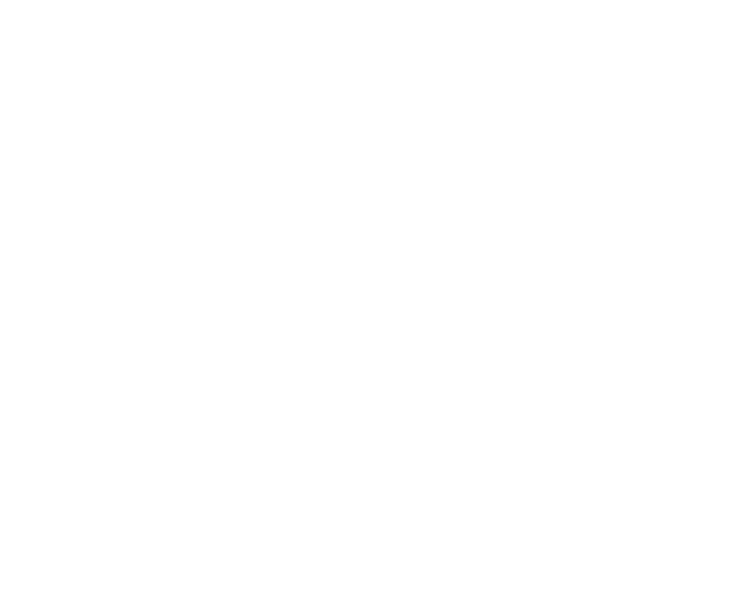 NWSA Apparel and Fashion Show Booster