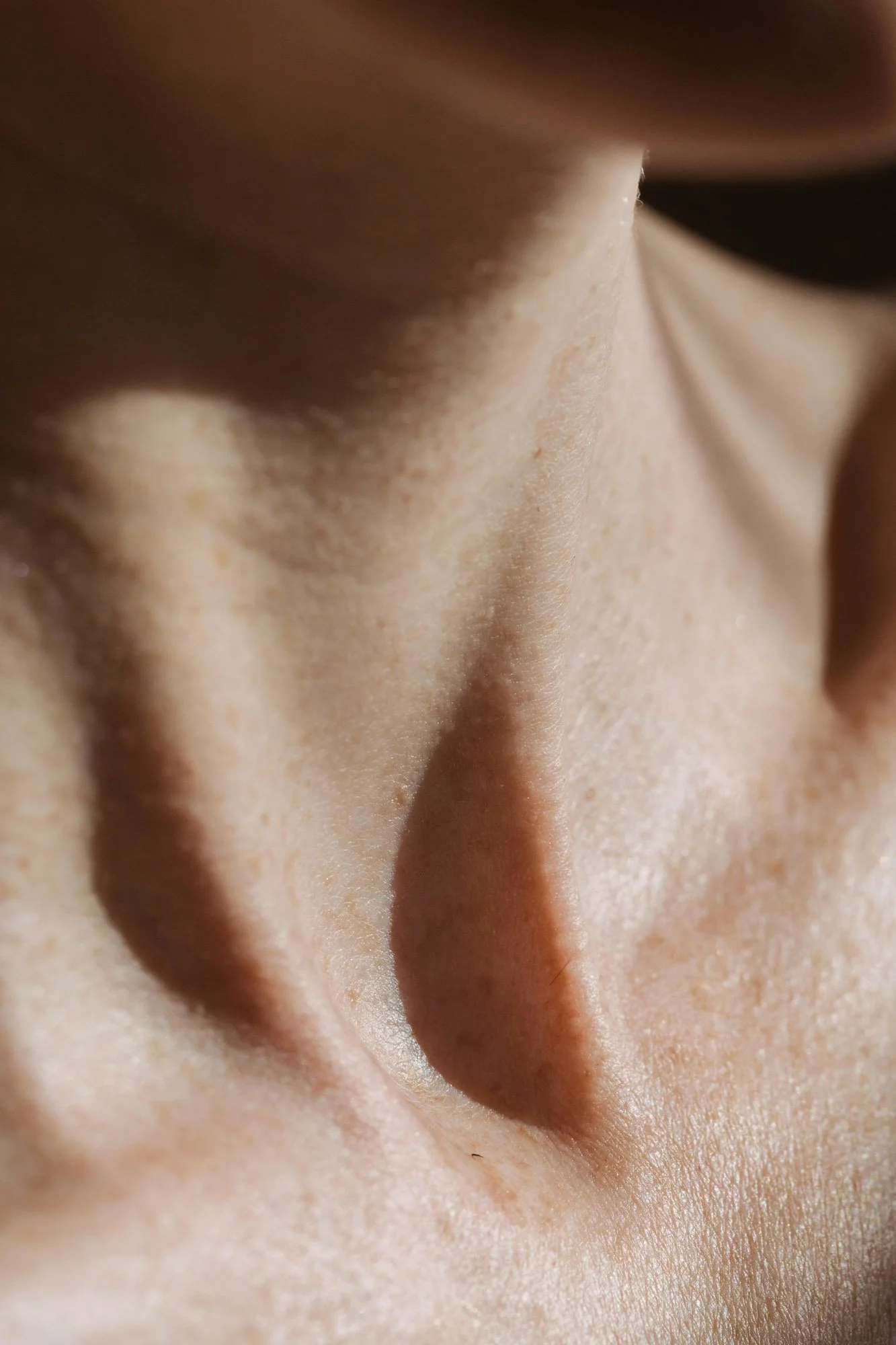 Gros plan d'un nez humain.