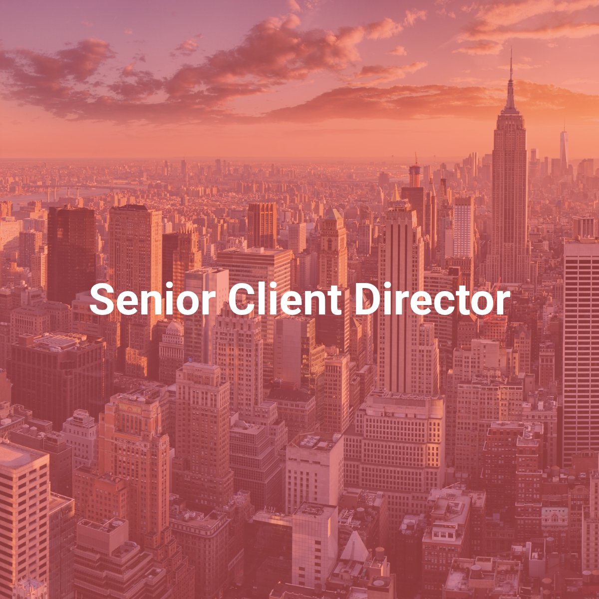 Senior Client Director