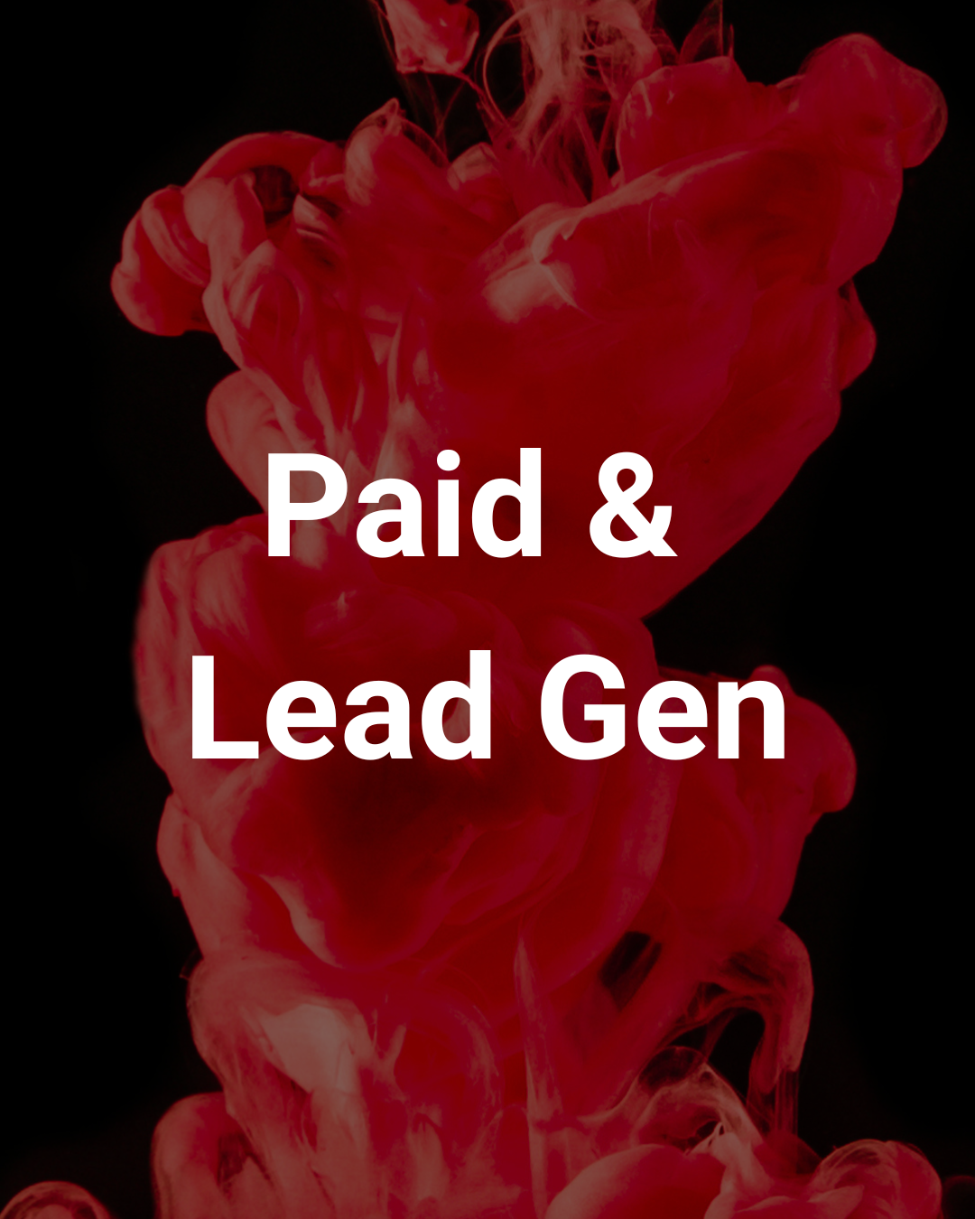 Paid & Lead Gen