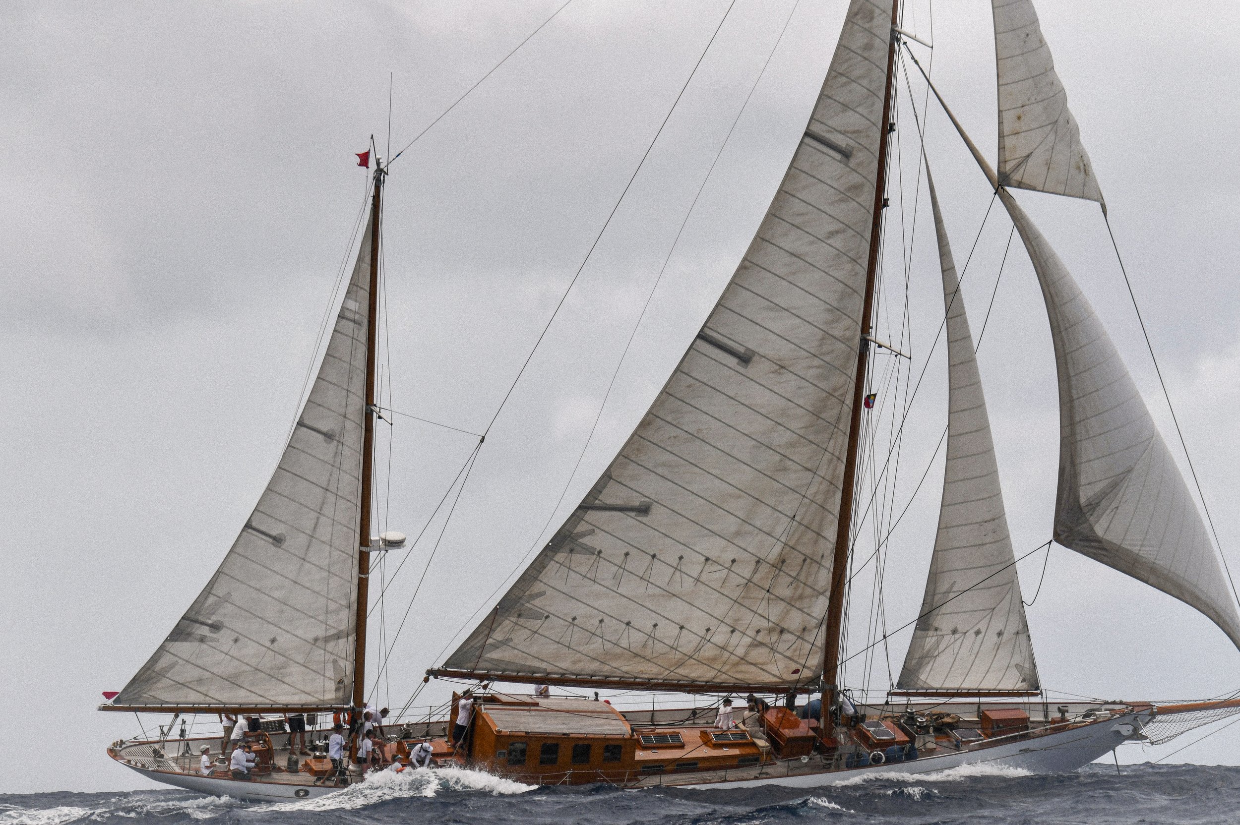 850_4235.jpg