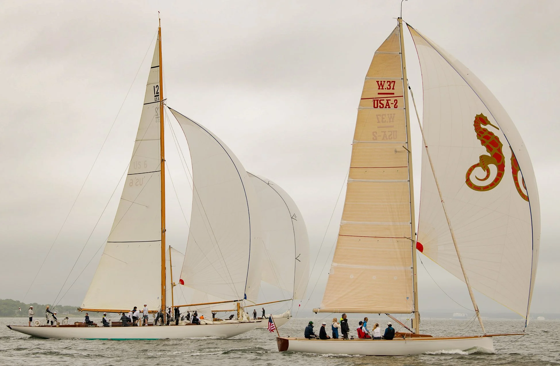 12 METERS 2.jpg