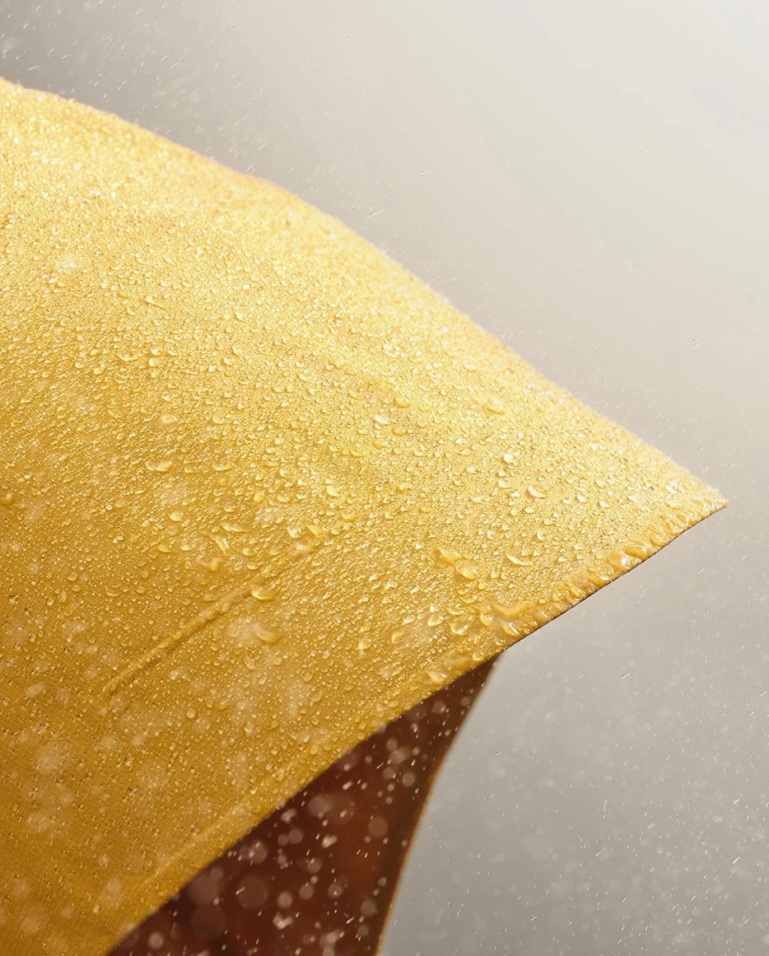 VIEV-yellow-hood-water.jpeg