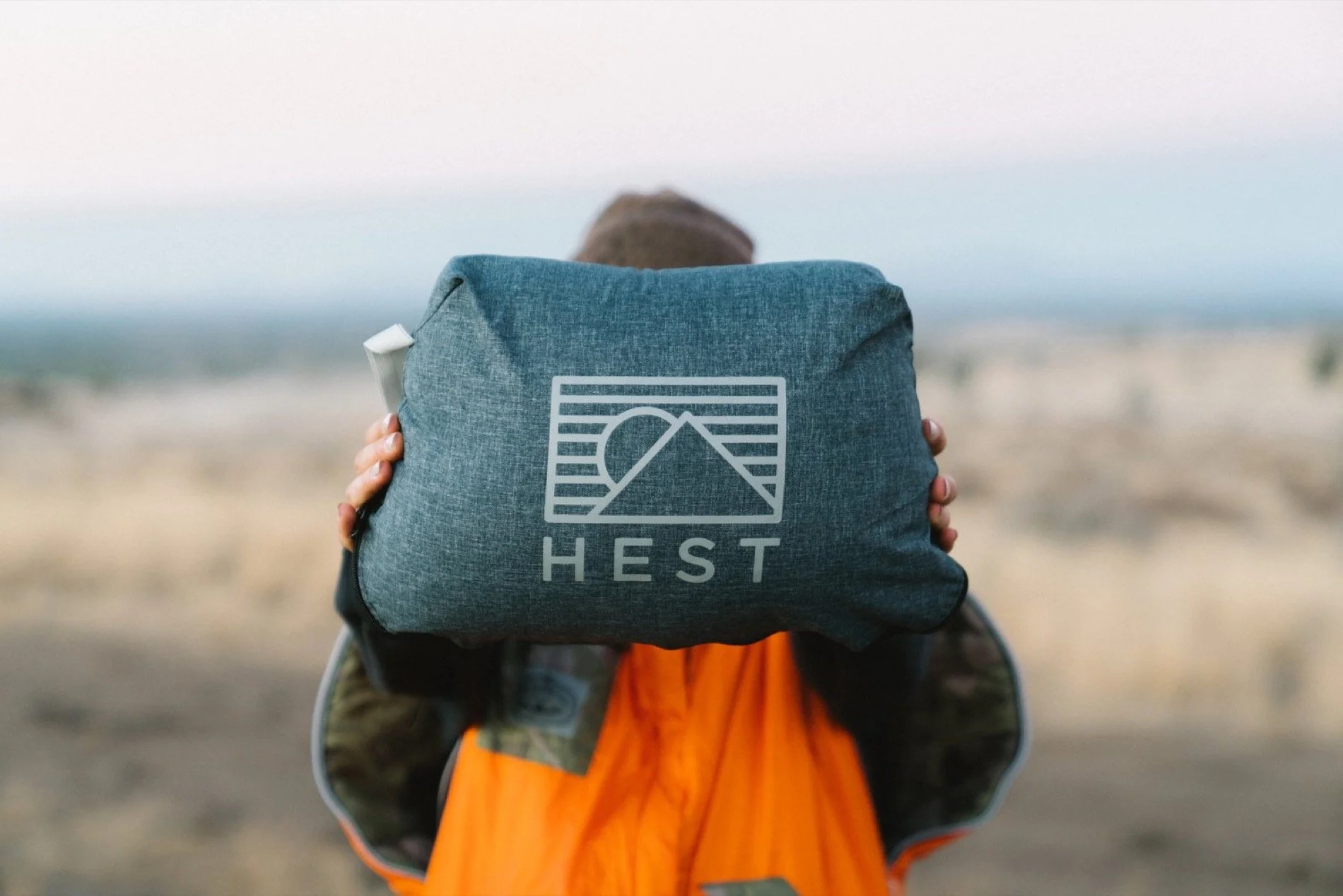 HEST-motofish-pillow.jpg