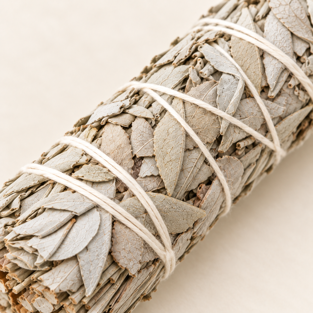 White Sage Bundle Macro Detail.png