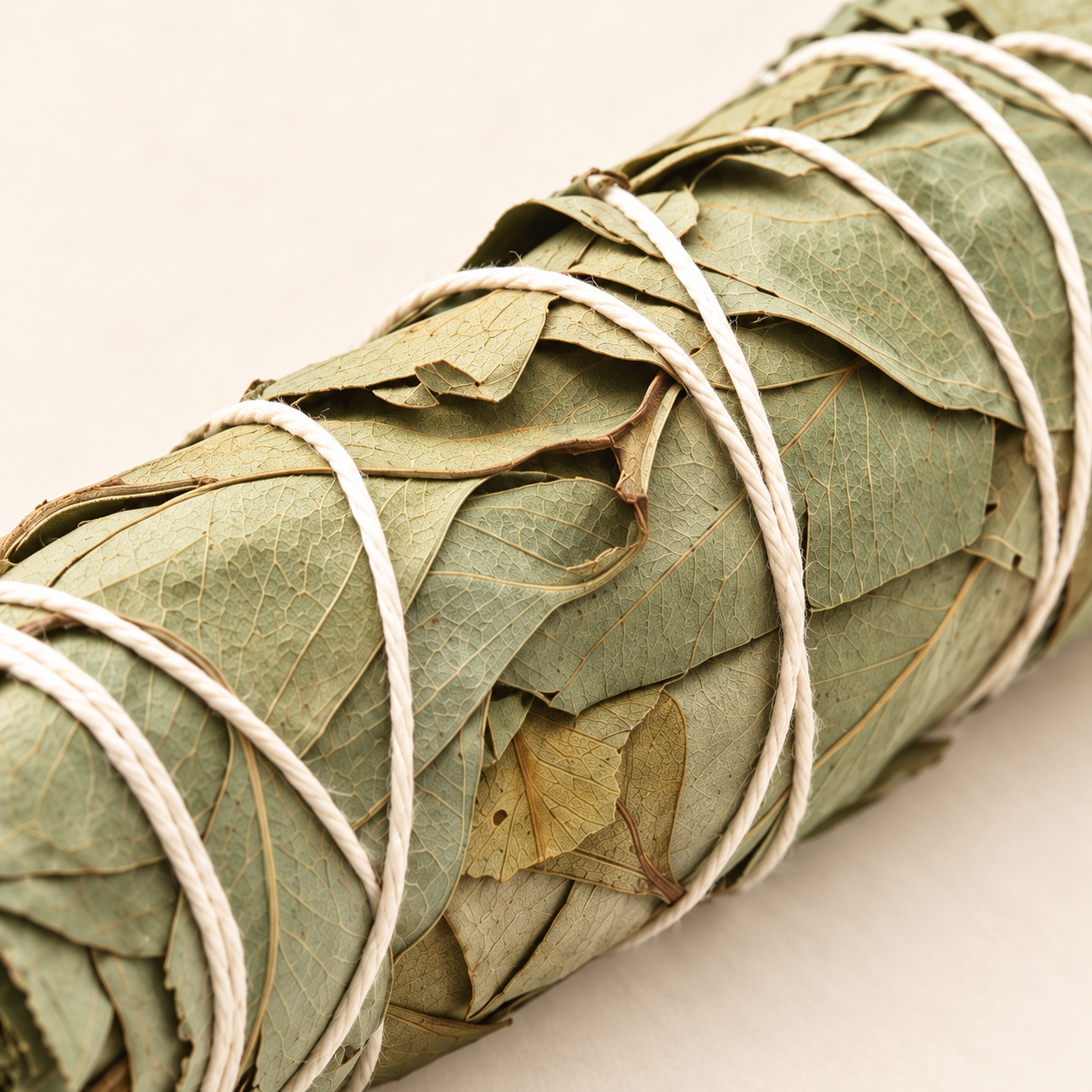 Close-up of a tied eucalyptus bundle.png