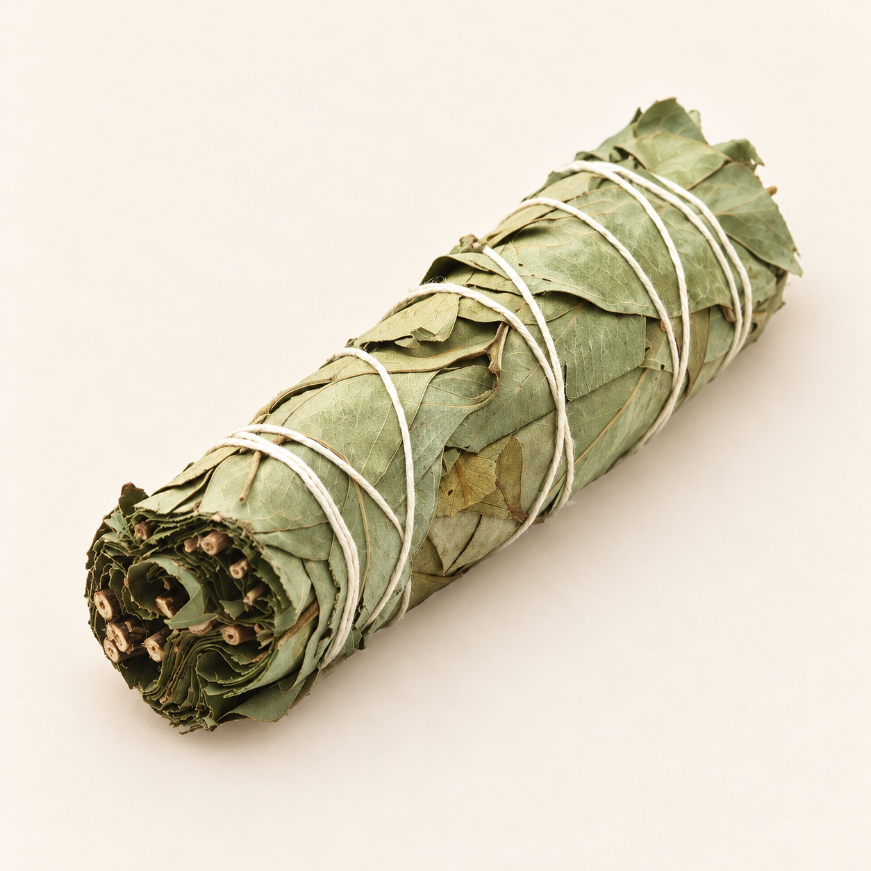 Dried eucalyptus bundle on ivory.png