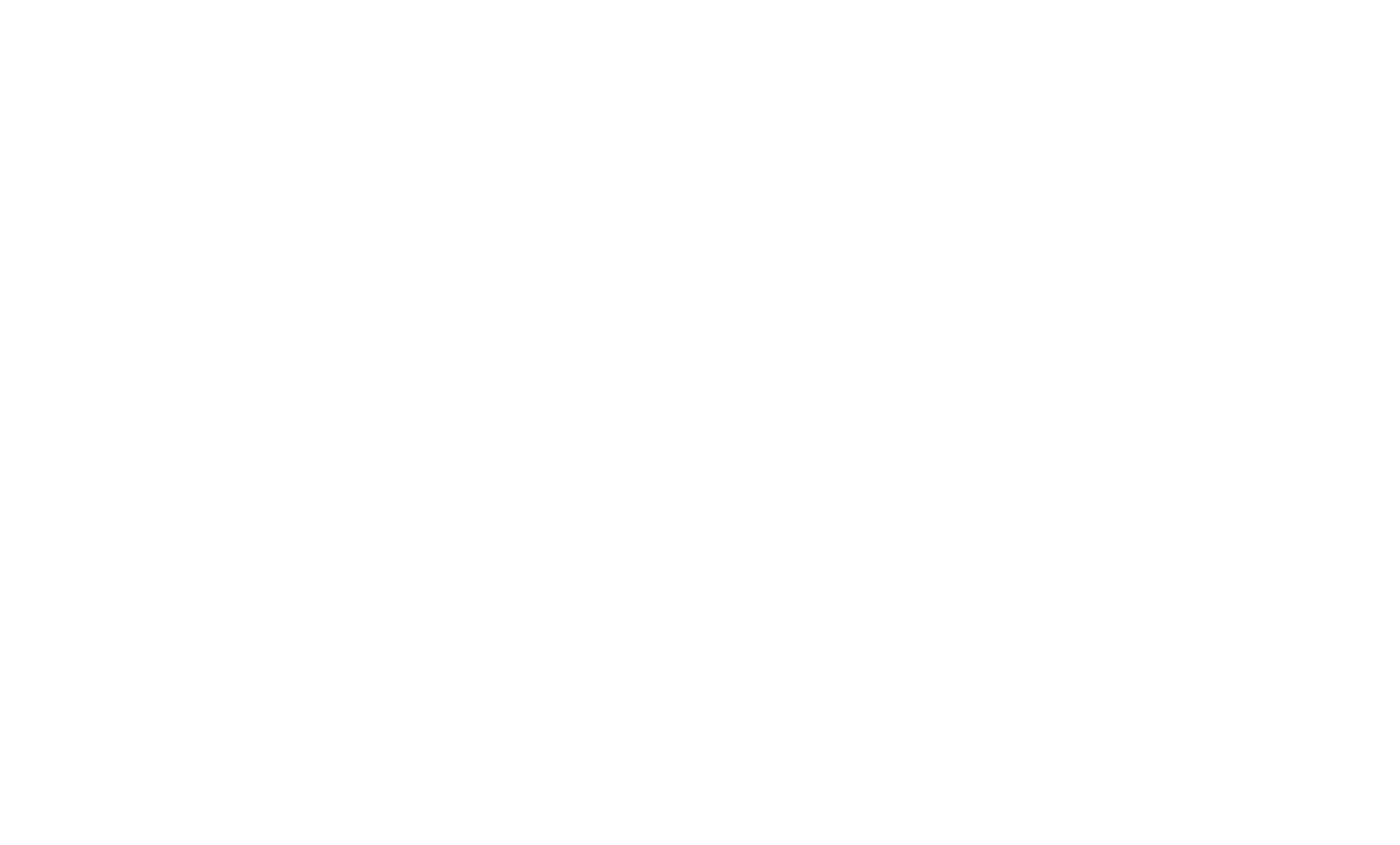 Tribeca Film Festival Special Jury Mention award laurel