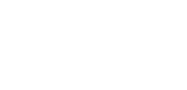 Nashville Film Festival logo