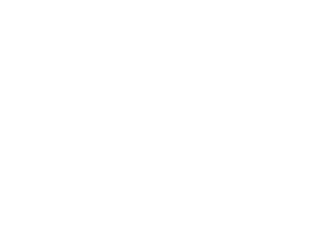 Newport Film logo