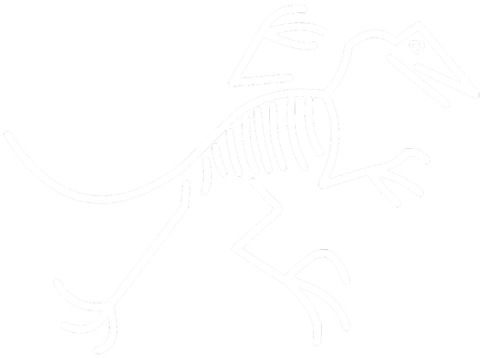 Extinct cycles