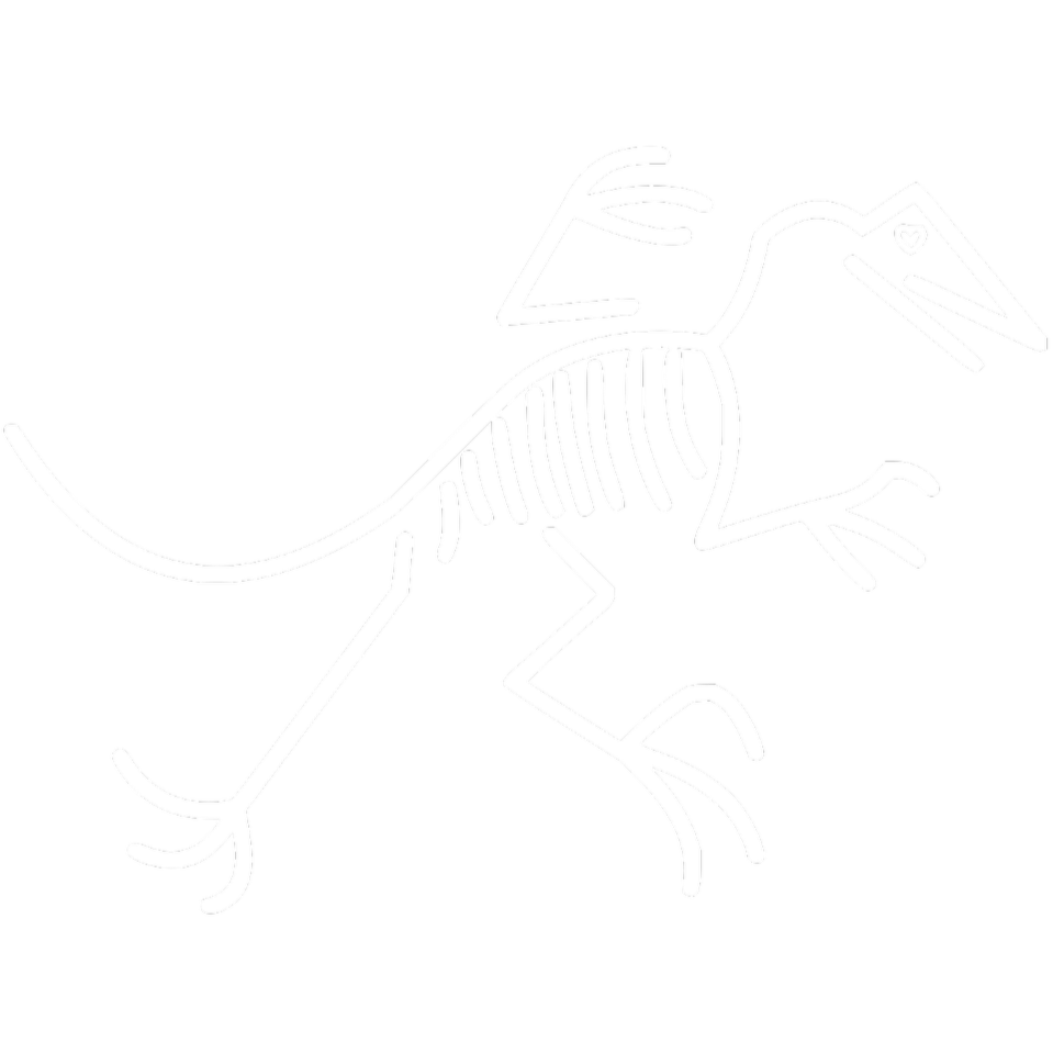 Extinct cycles