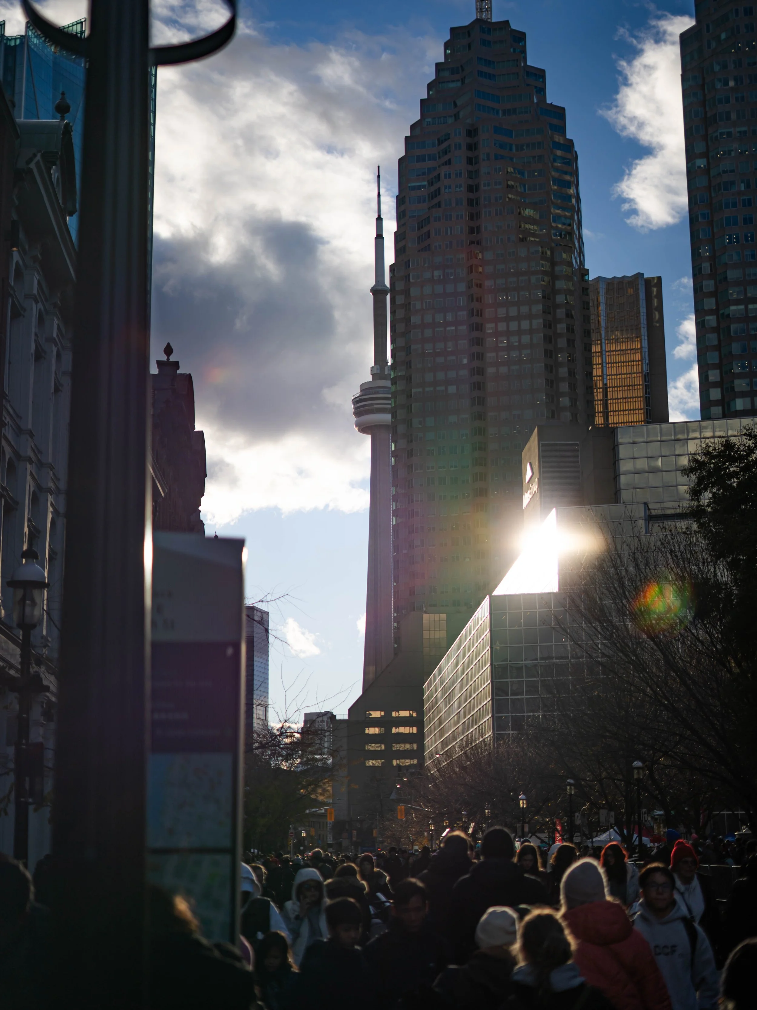 DSC08762.jpg