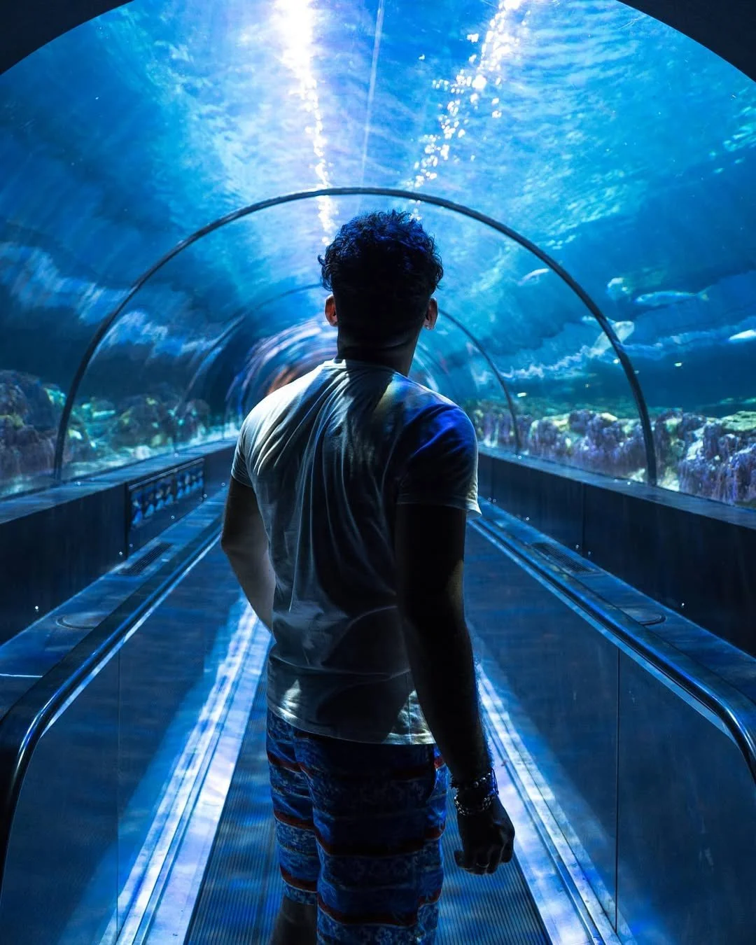 #usa #seaworld.jpg