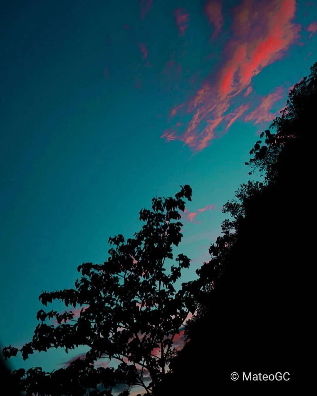 Alguna vez mire al cielo y vi tu rostro en las estrellas, luego sólo me dije..., tengo que dejar.jpg