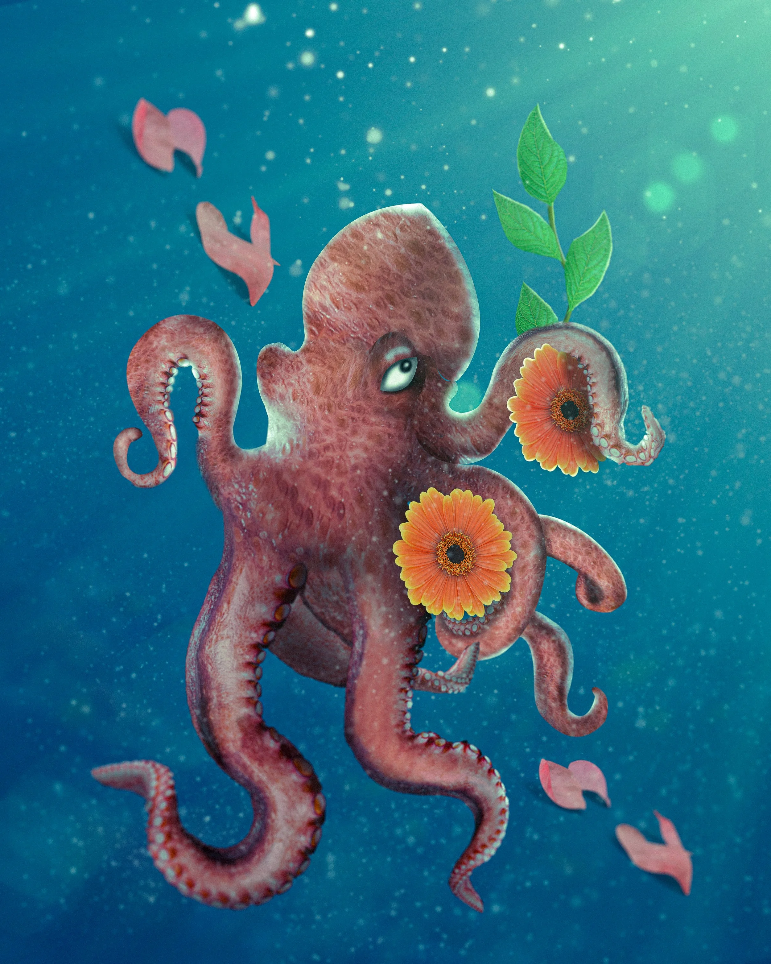 Pulpo.jpg