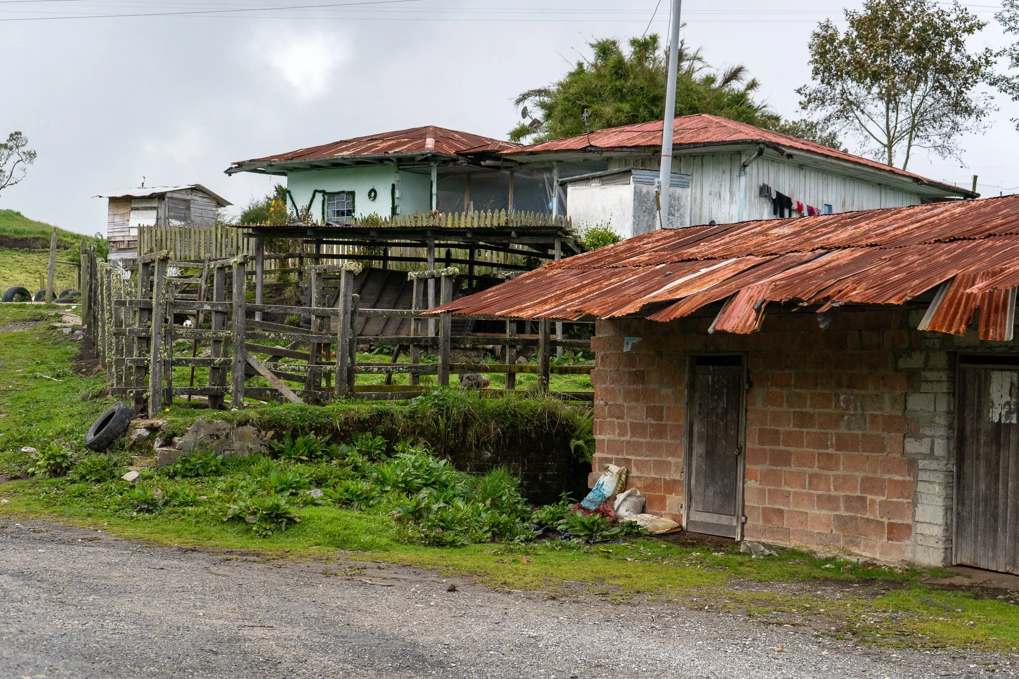 DSC06242.jpg