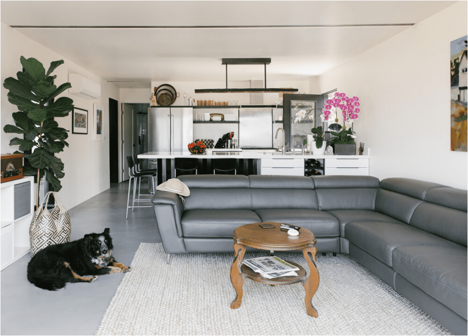 Living room with gray sectional sofa, small wooden coffee table with magazines, dog lying on a rug, open kitchen behind with white cabinets, stainless steel refrigerator, pink orchid, and artwork on the wall.