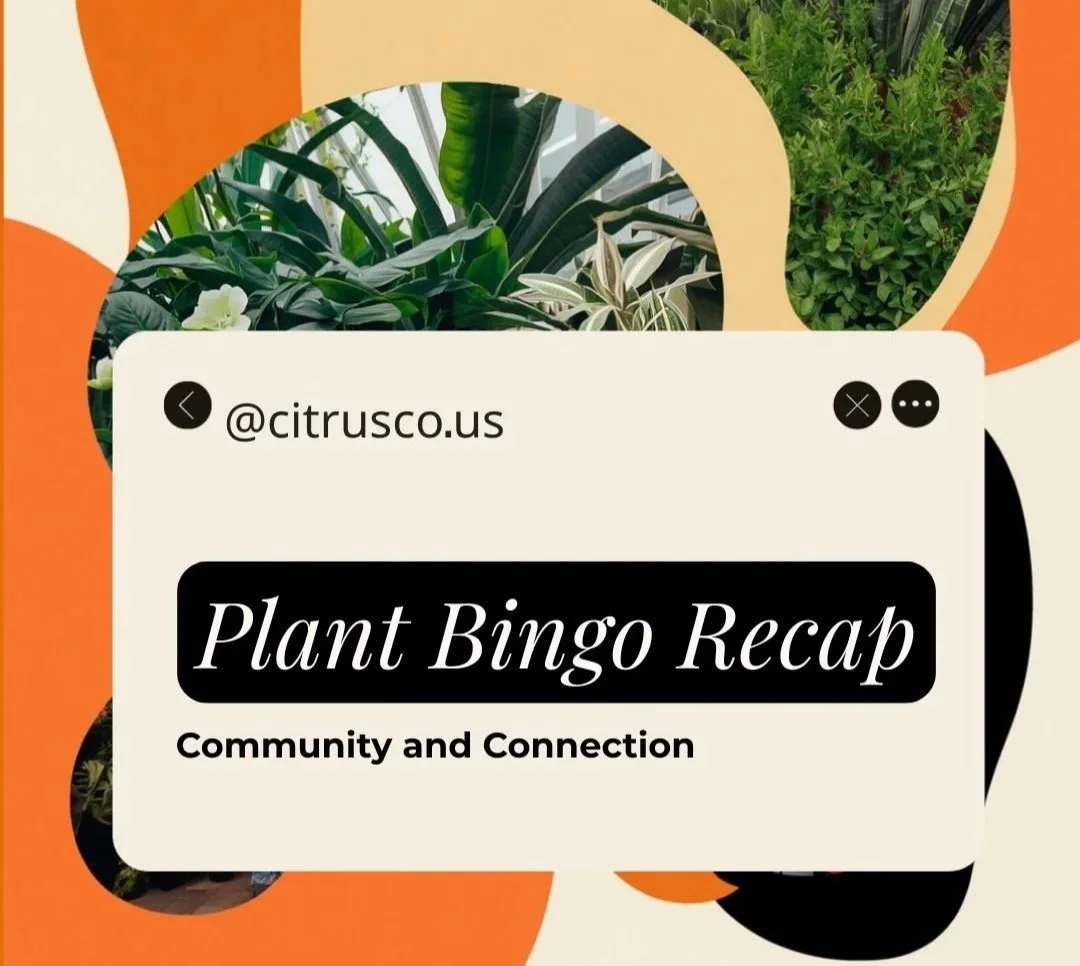 Welcome. 

Pull up a chair.

An note from Citrus & Co.