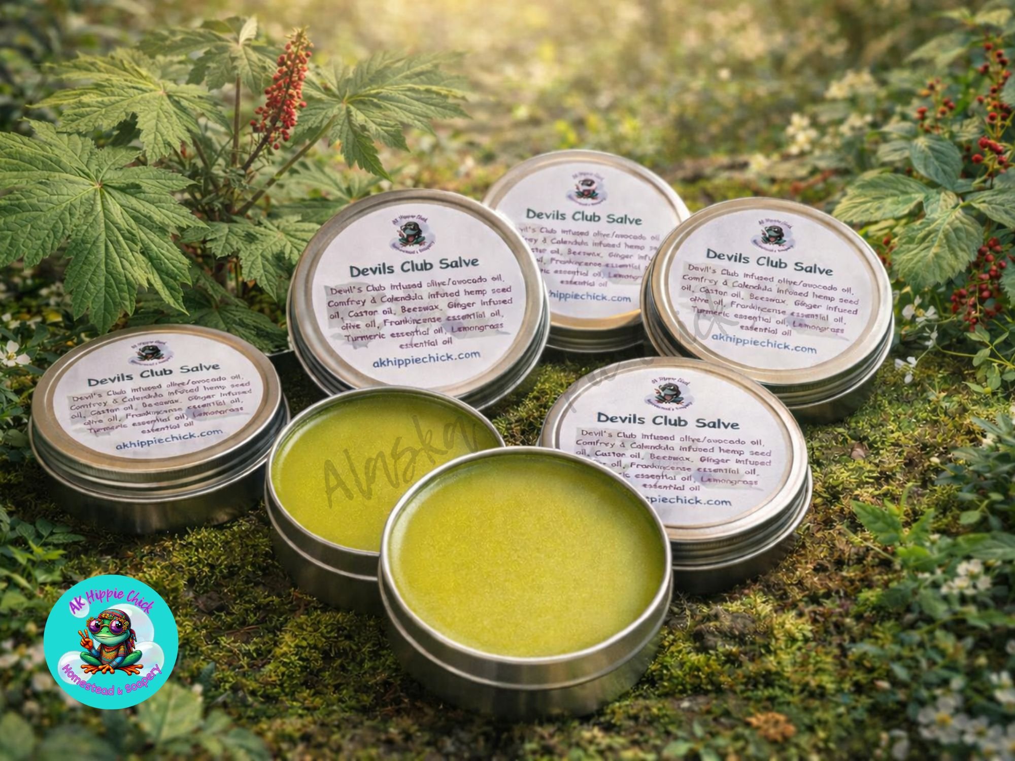 Devil’s Club Salve