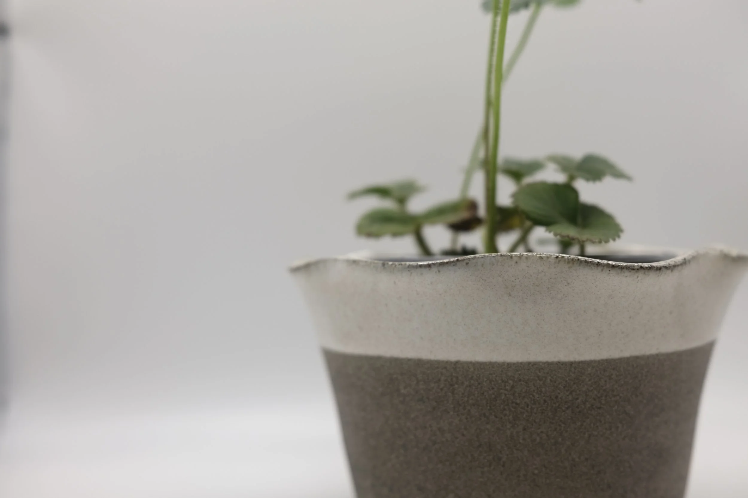 Stoneware Plant Pot