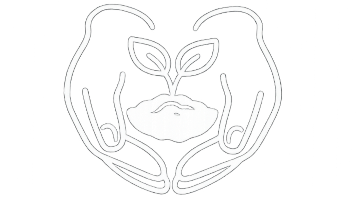 Planting Seeds Environmental Education