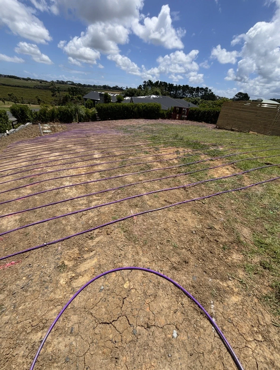 A backyard with a drip irrigation system laid out over the soil, under a bright blue sky with scattered clouds. There are houses and trees in the background.