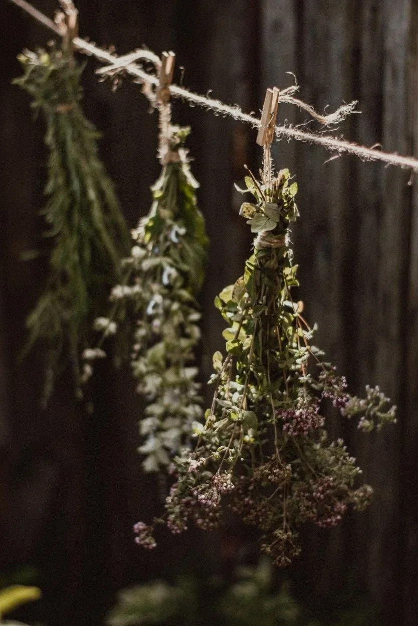 Dried herbs hanging from a clothesline tied with clothespins against a dark wooden background.