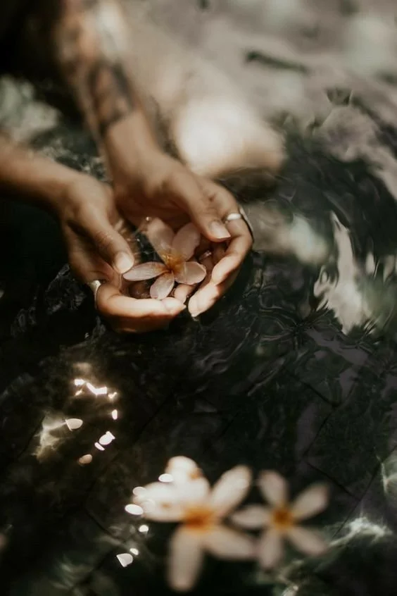Person holding pink and white flowers over water, with more flowers reflected on the surface.