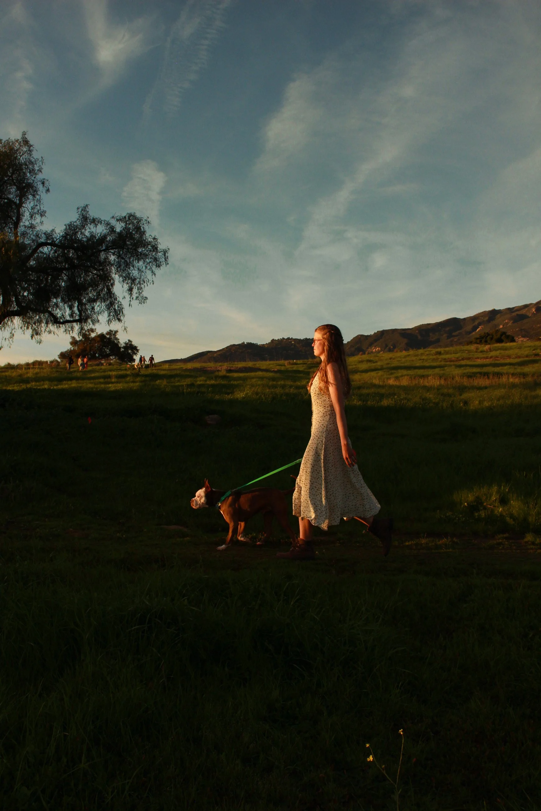 Dog and owner walking together outdoors in Santa Barbara
