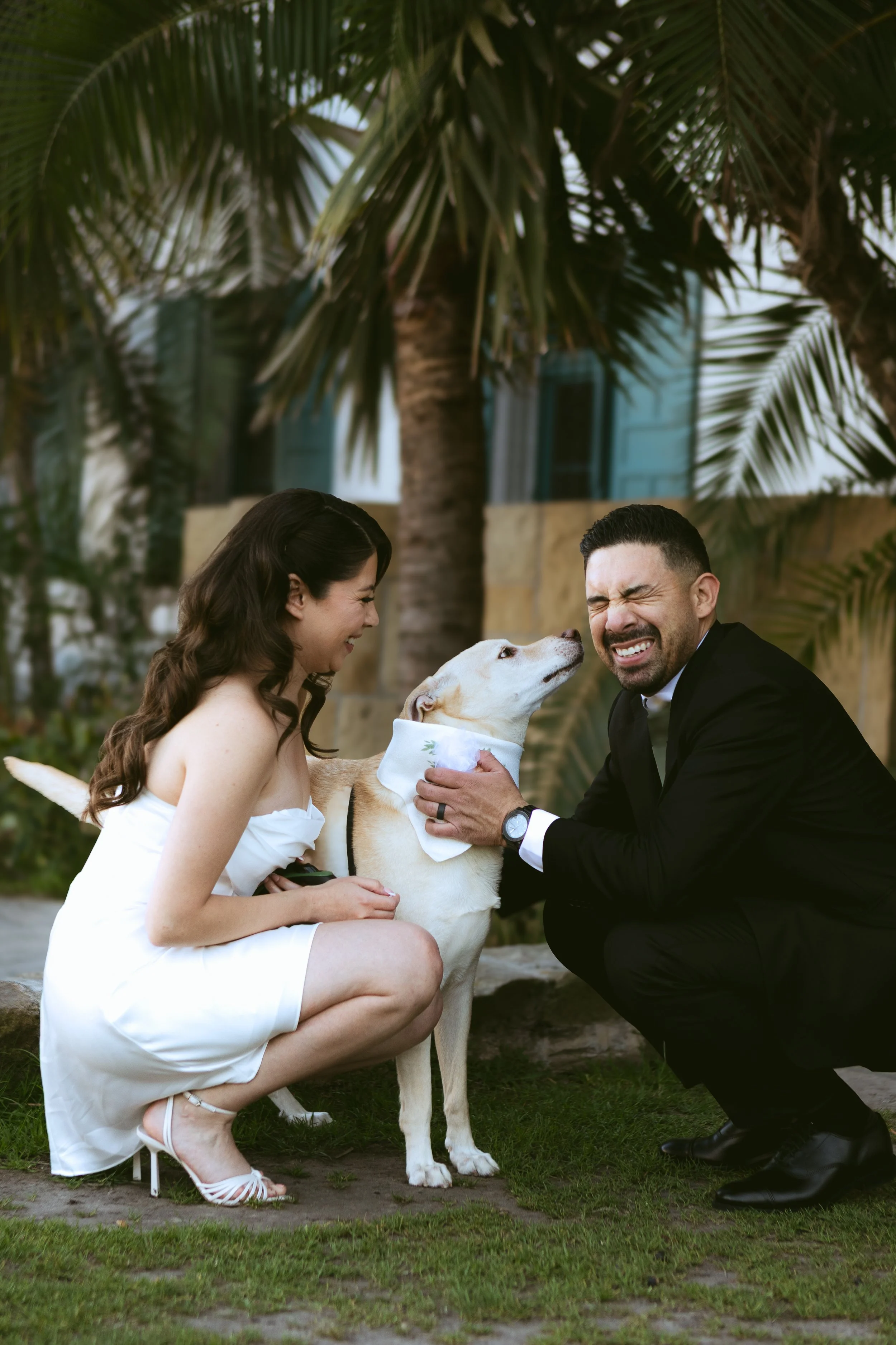 A woman in a white dress and a man in a black suit with a ring, smiling and interacting with a white dog wearing a bandana, outdoors with palm trees in the background.
