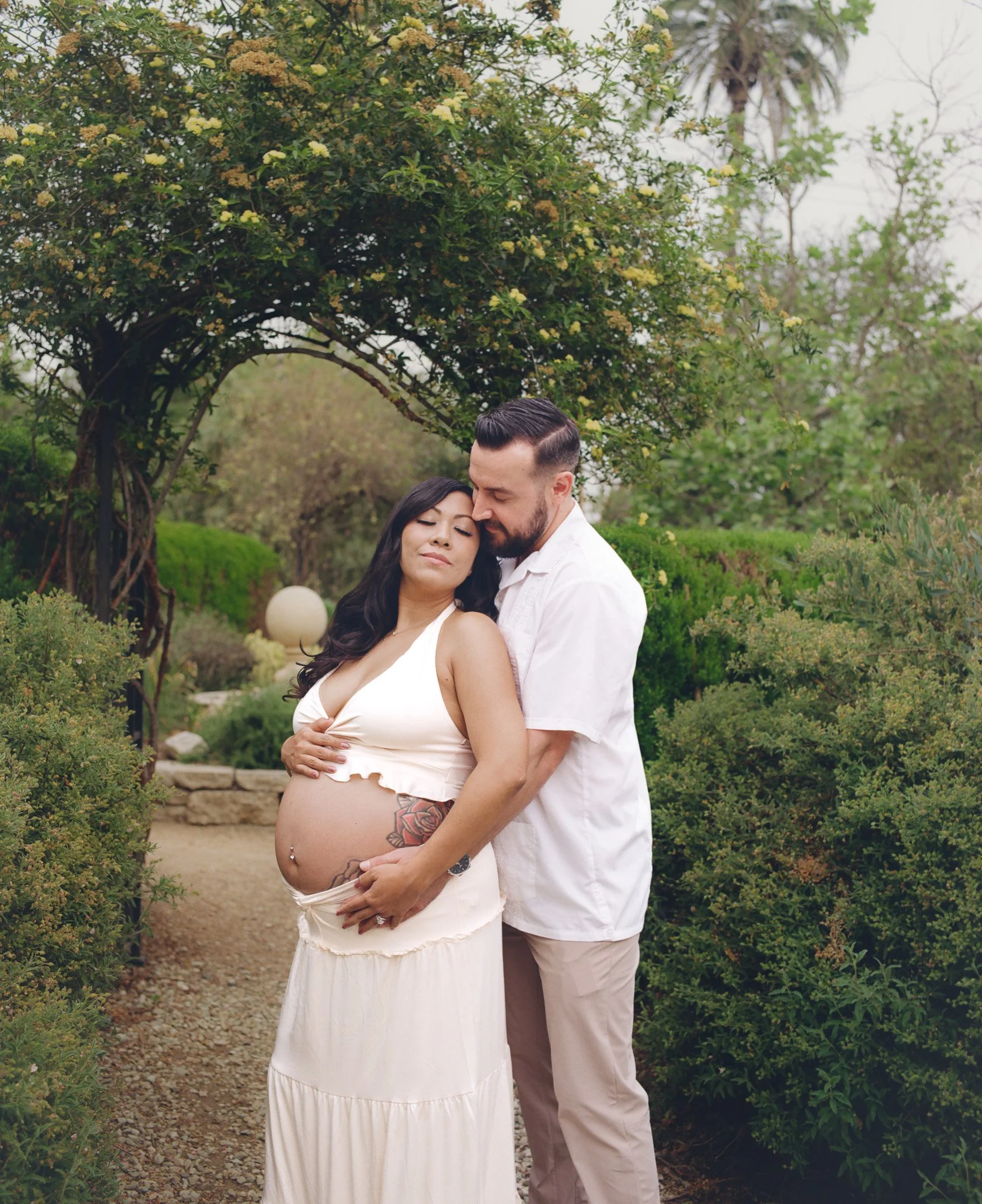 Professional Package