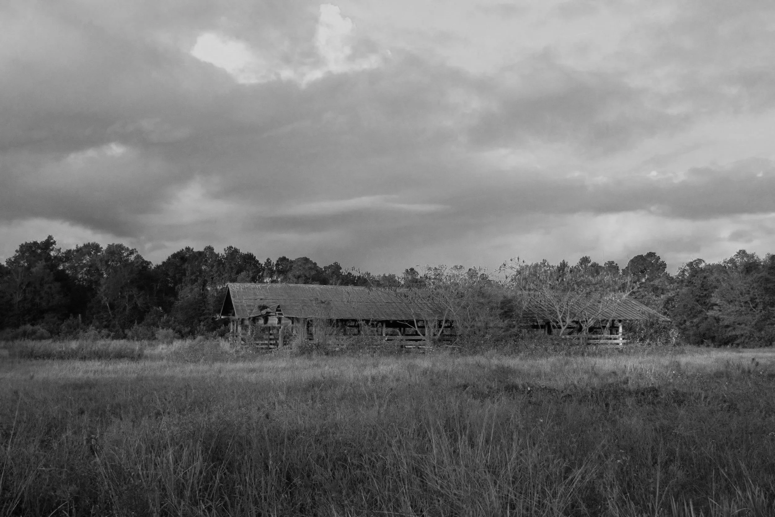 Black and white image of a rural landscape with an abandoned barn surrounded by tall grass and trees under a cloudy sky.