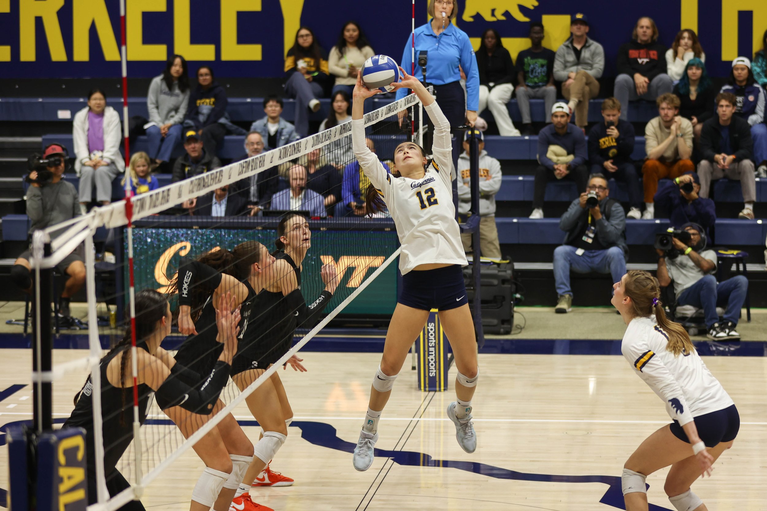 volleyball-1.jpg