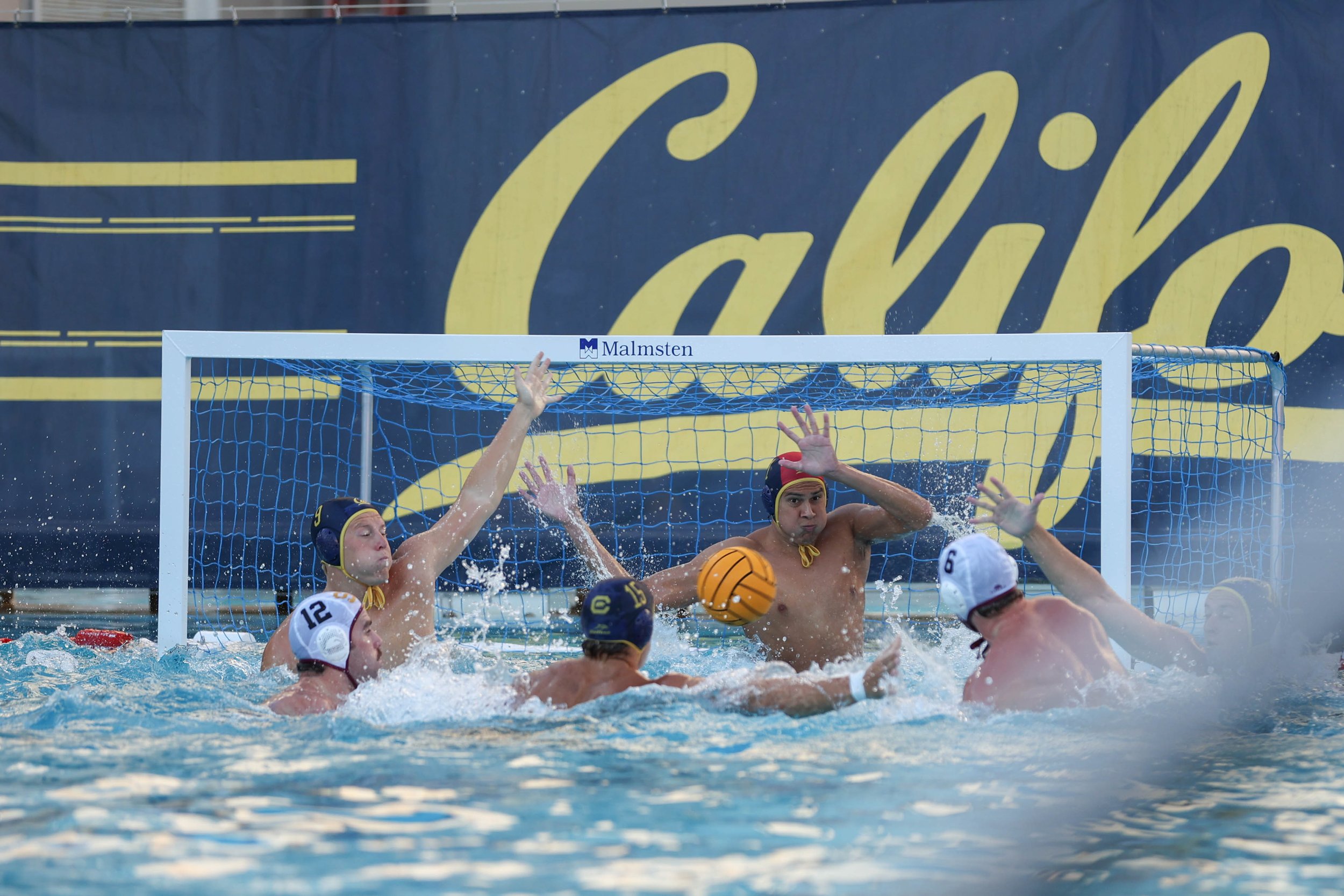 waterpolo-5.jpg