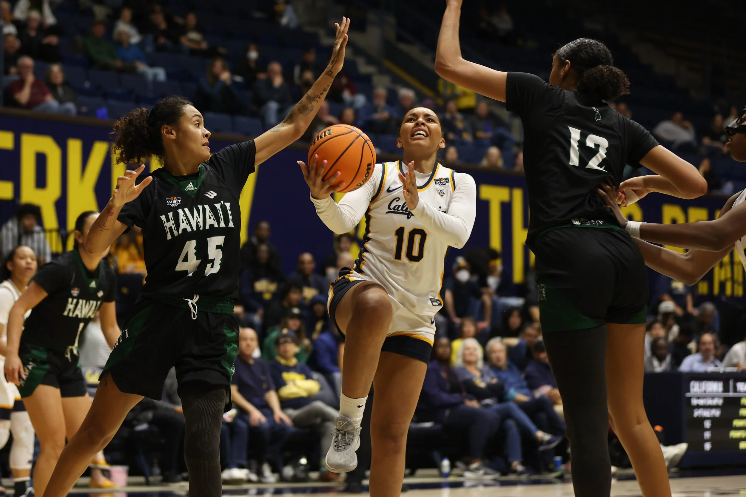 basketball-29.jpg