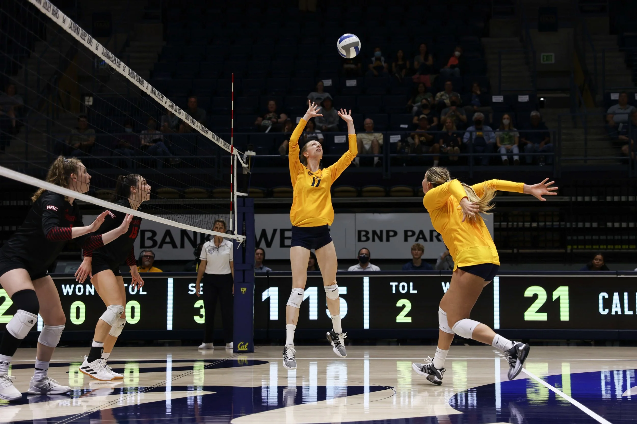 volleyball-11.jpg