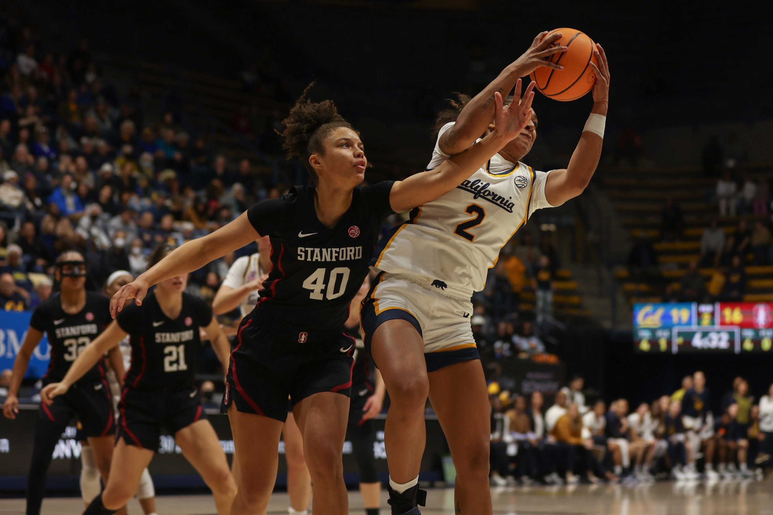 basketball-21.jpg