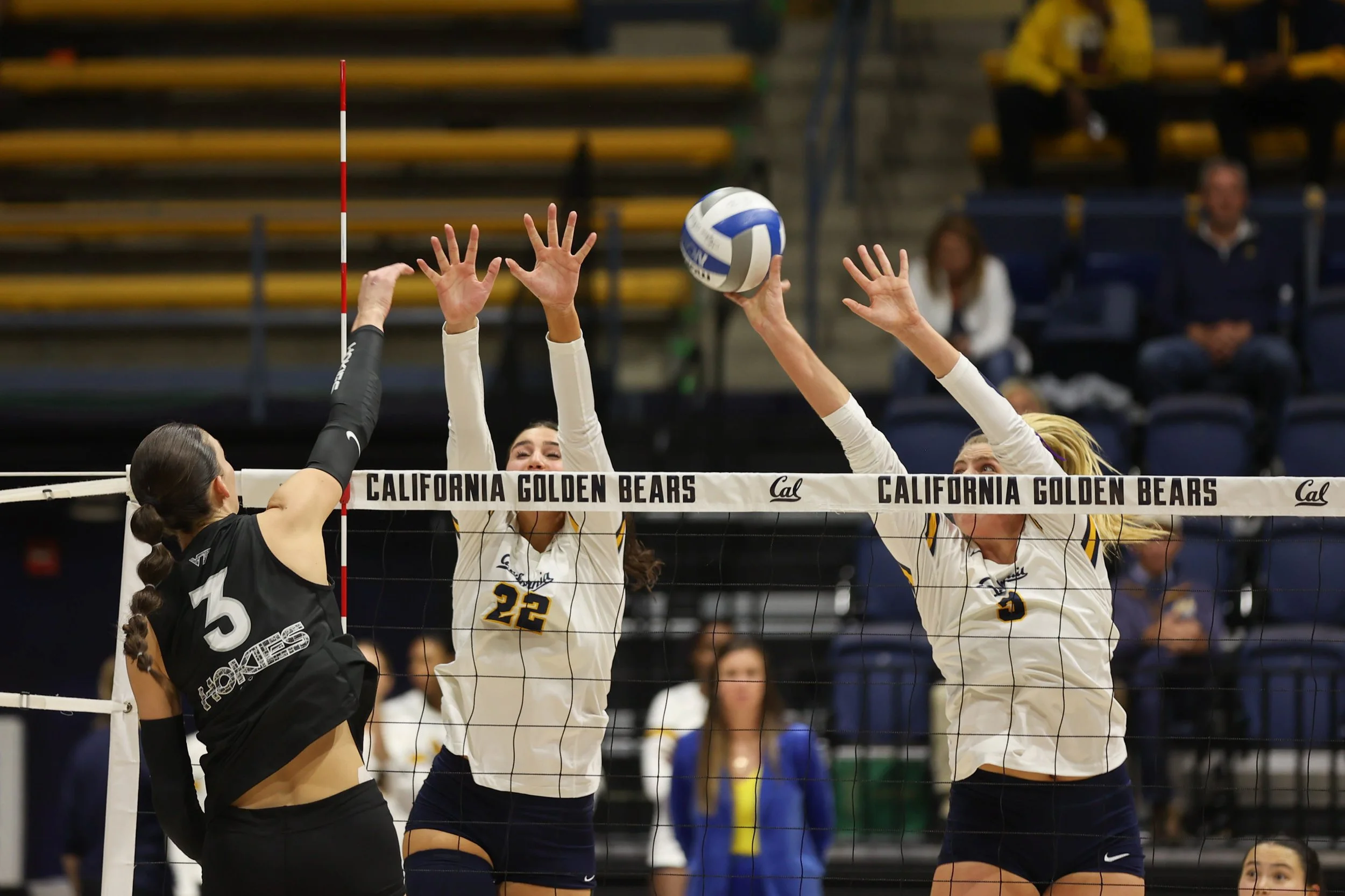 volleyball-2.jpg