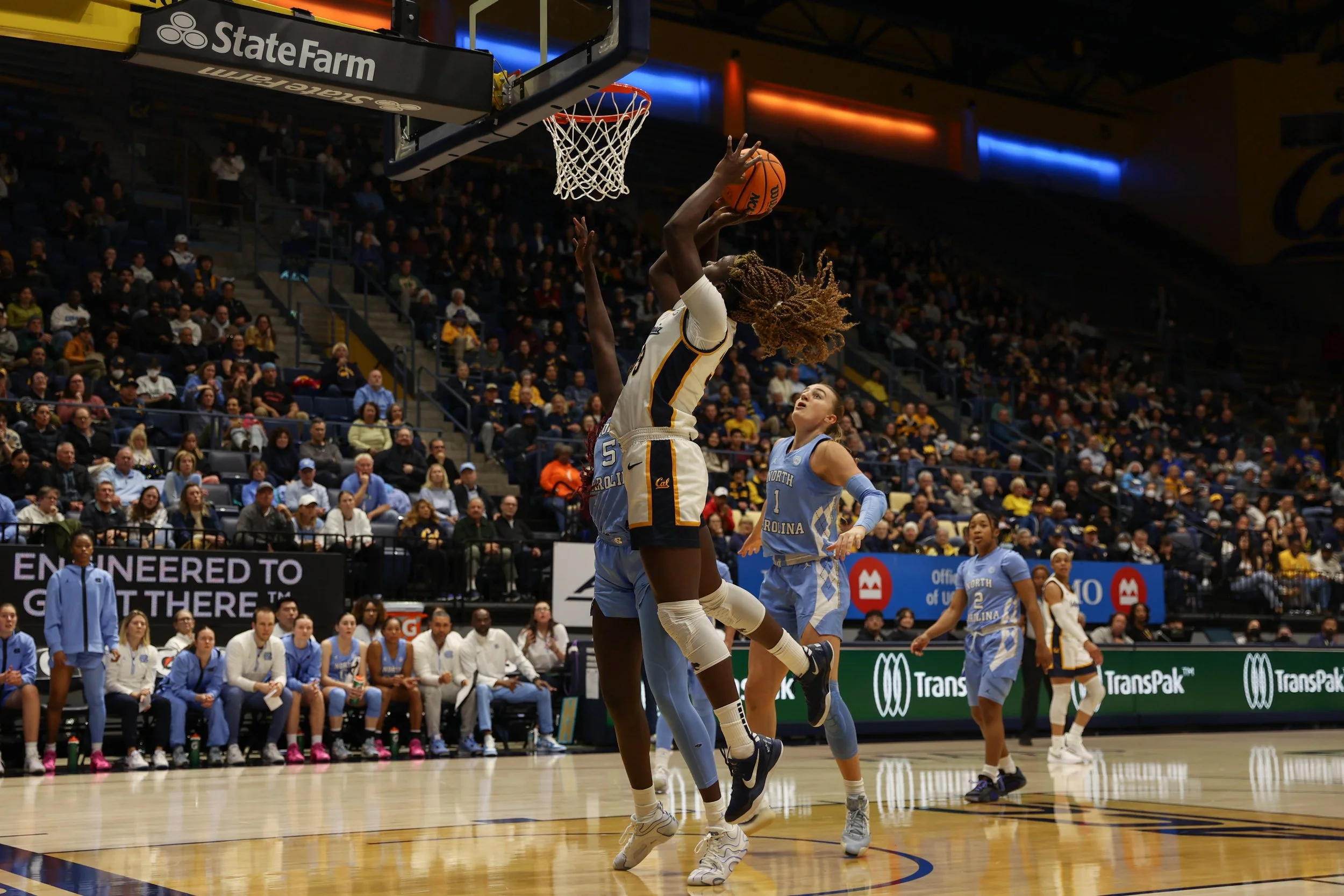 basketball-15.jpg