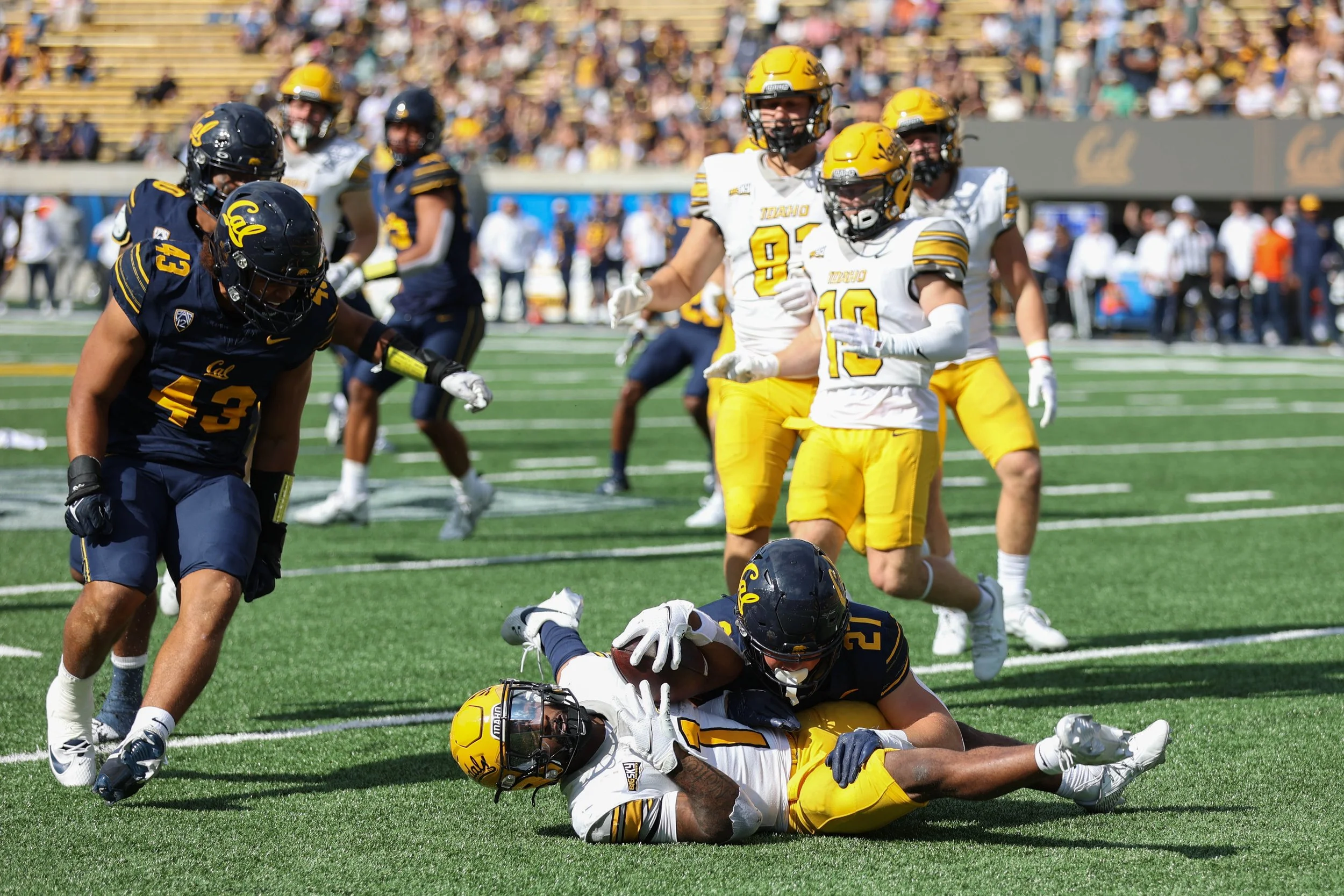football-5.jpg