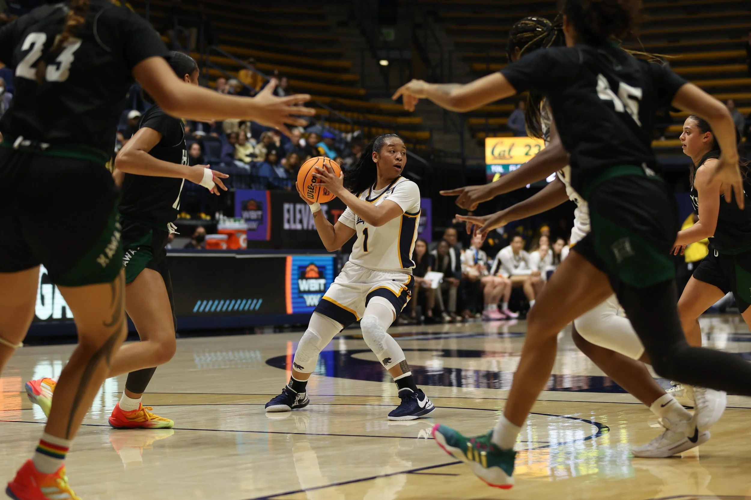 basketball-31.jpg