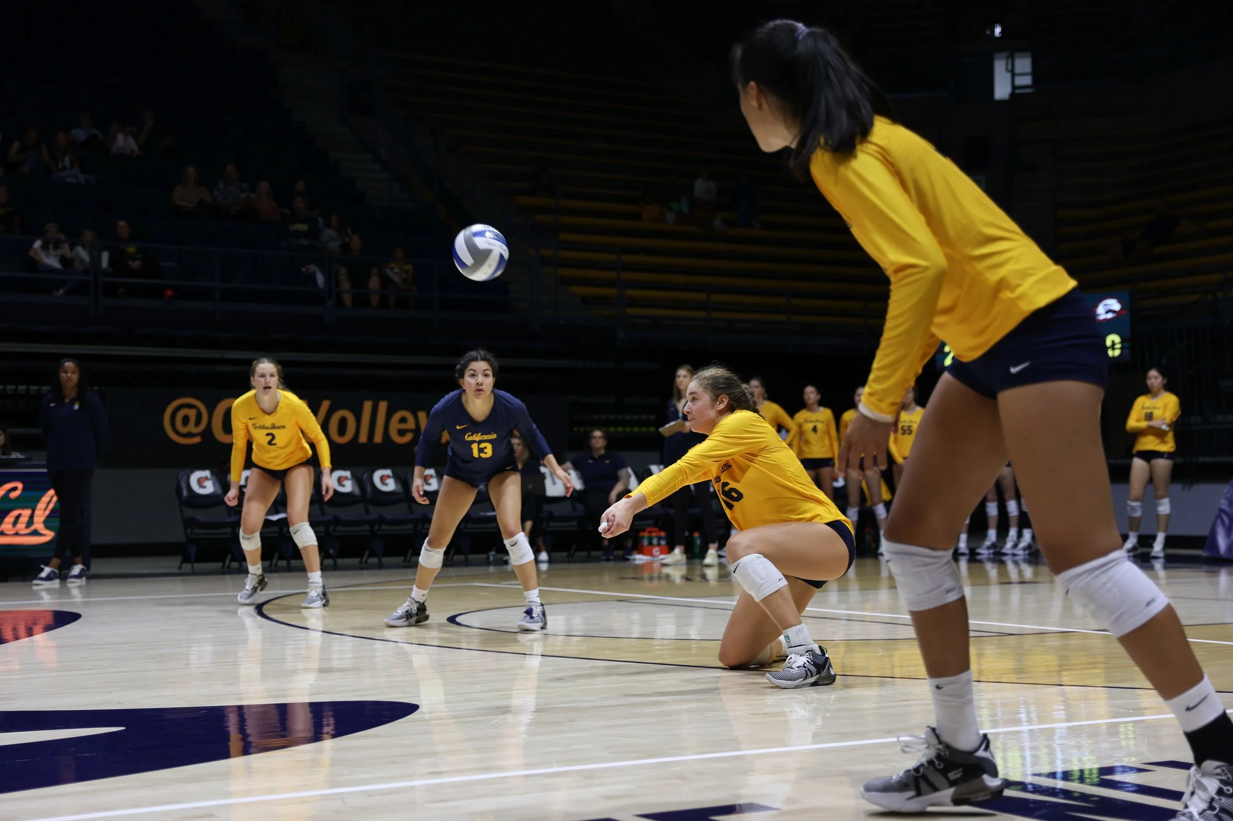 volleyball-10.jpg