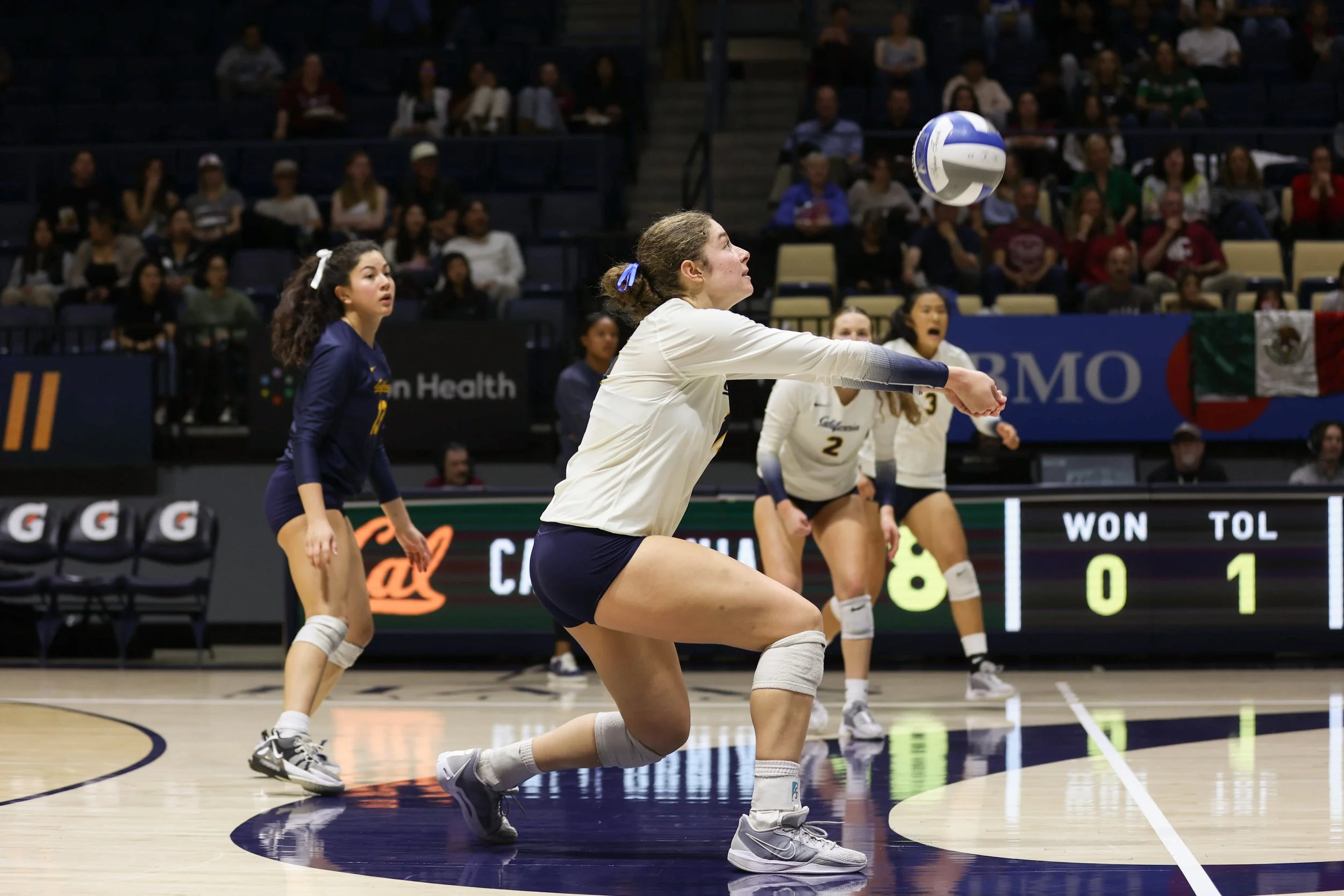 volleyball-4.jpg