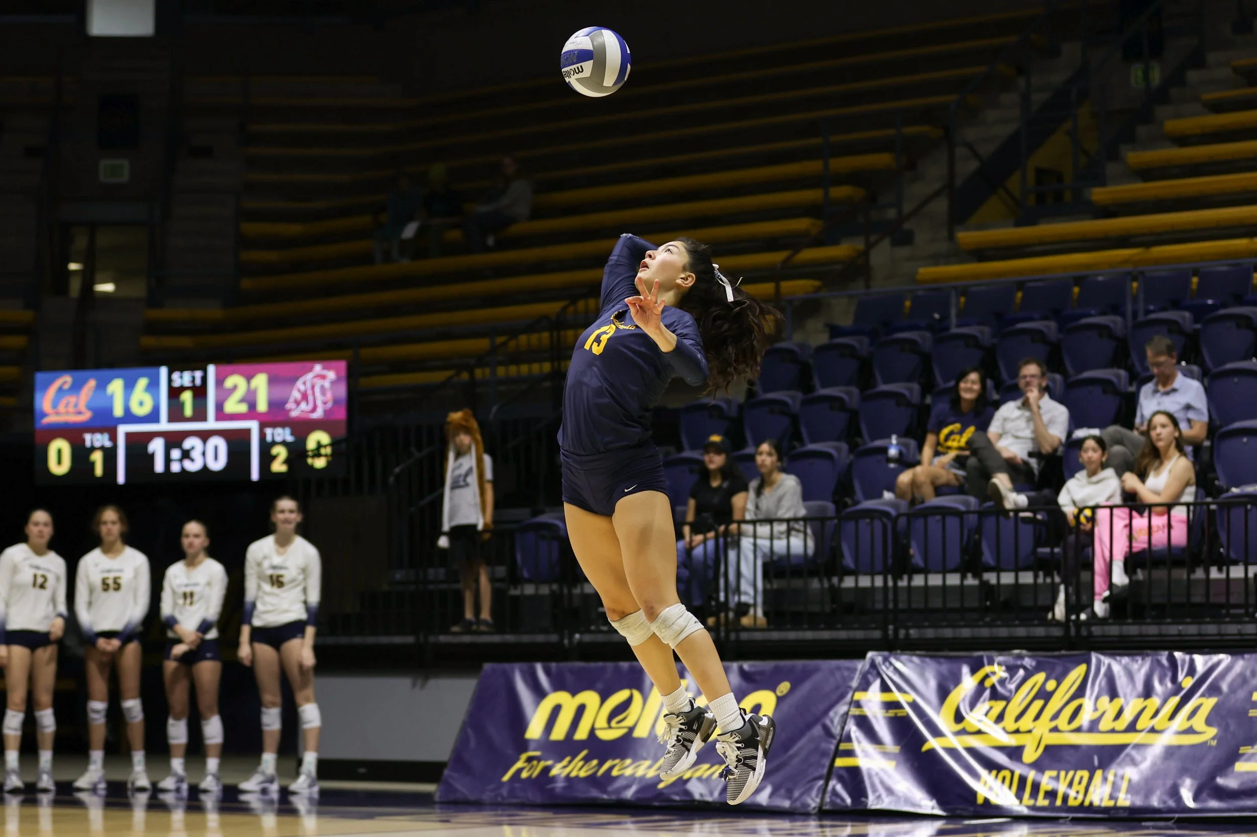 volleyball-8.jpg