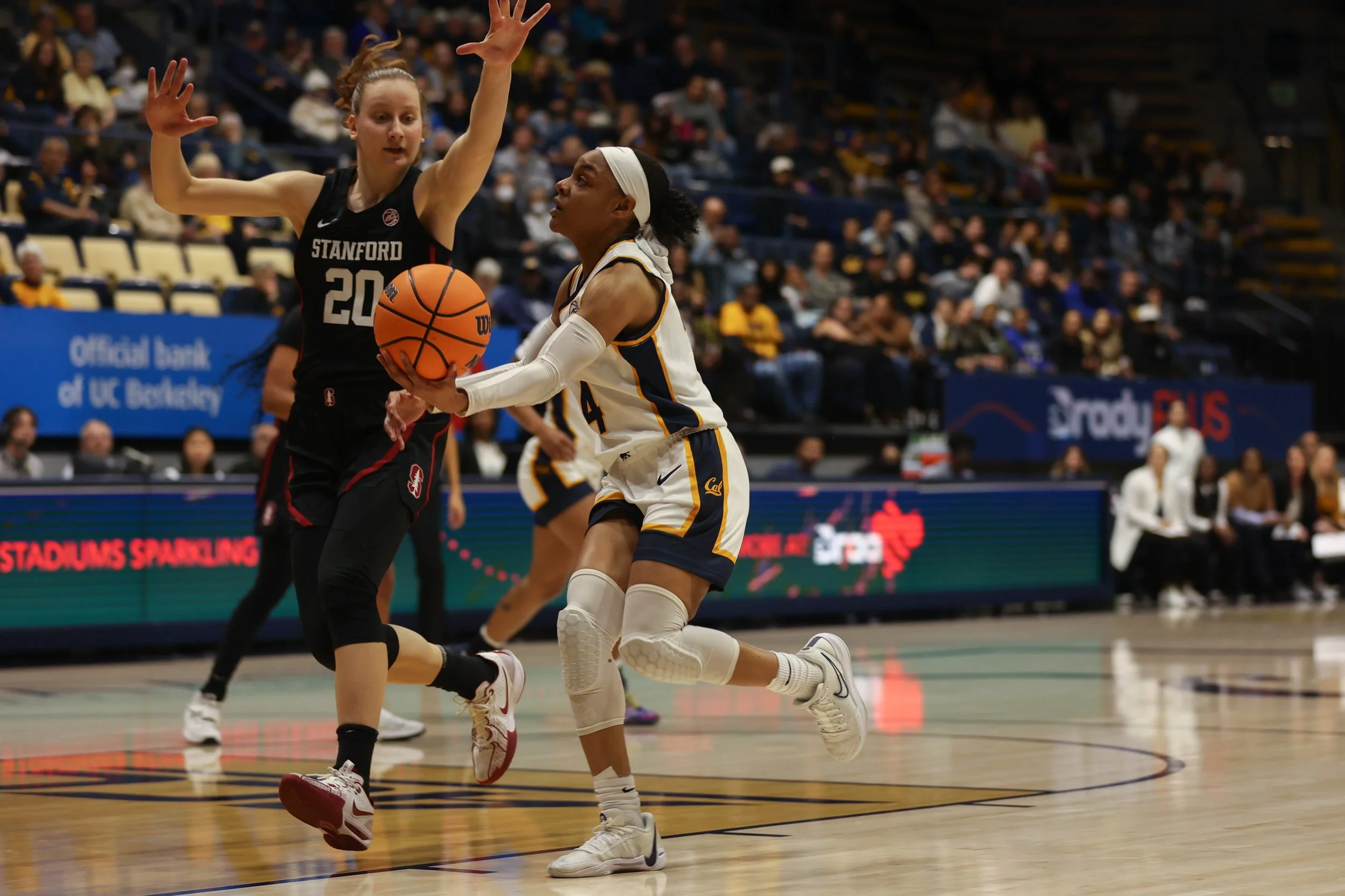 basketball-22.jpg