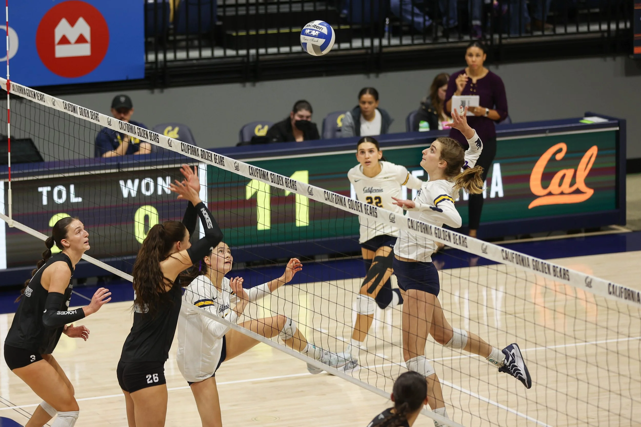 volleyball-7.jpg