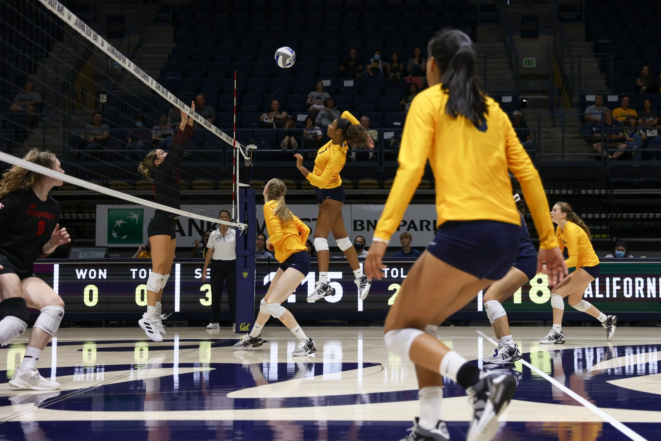 volleyball-12.jpg