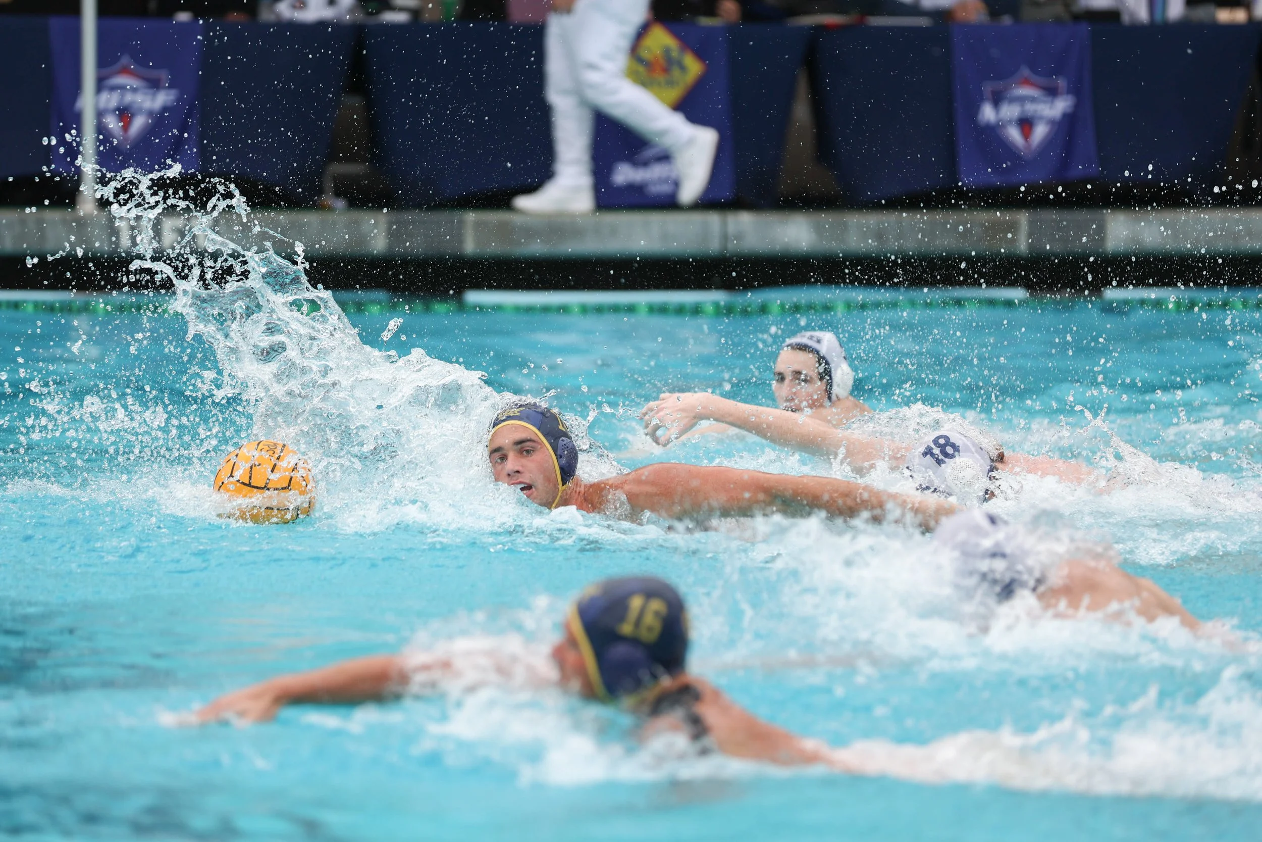 waterpolo-20.jpg