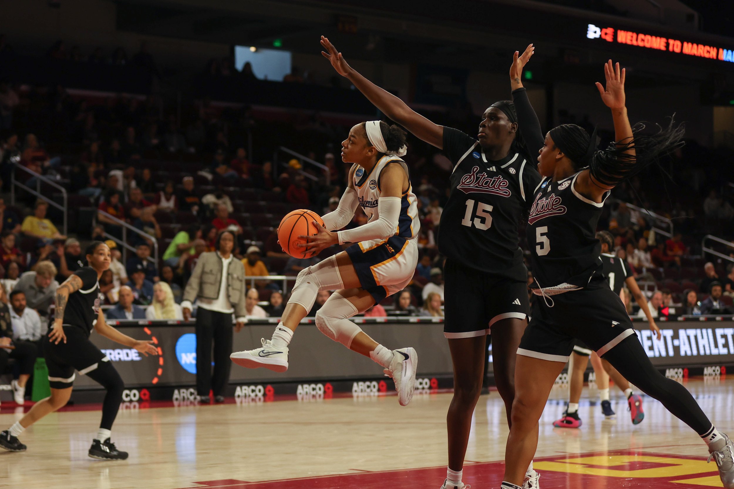 basketball-4.jpg